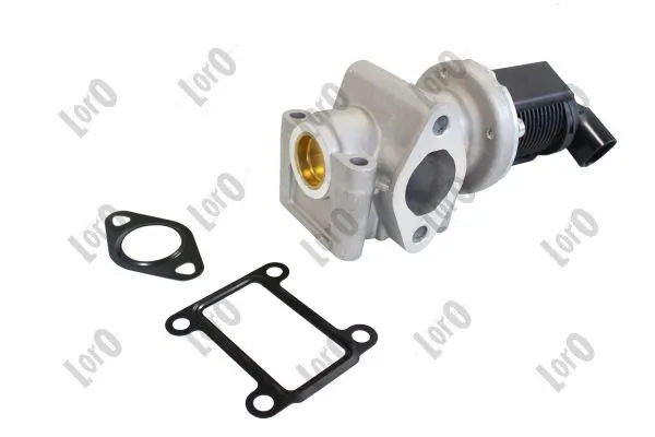 EGR Valve