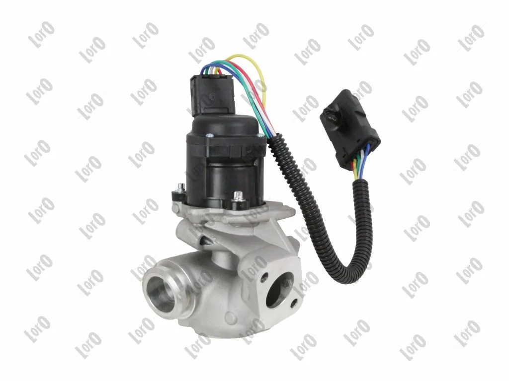 EGR Valve
