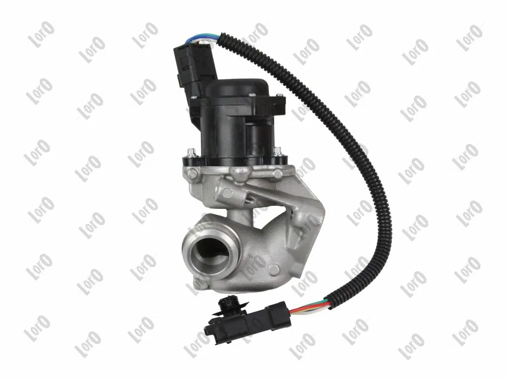EGR Valve
