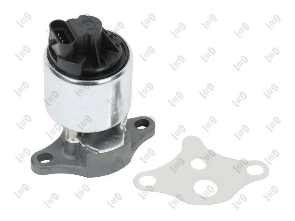 EGR Valve