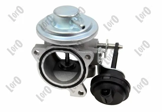 EGR Valve