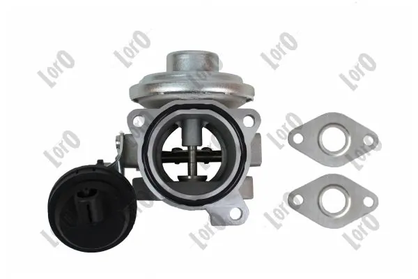 EGR Valve
