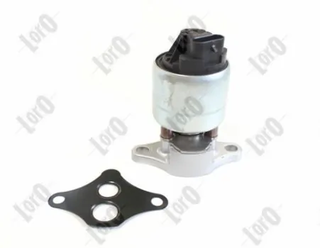EGR Valve