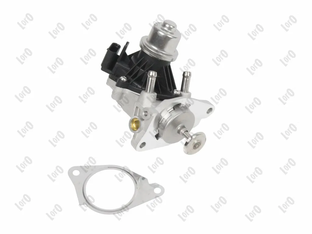 EGR Valve