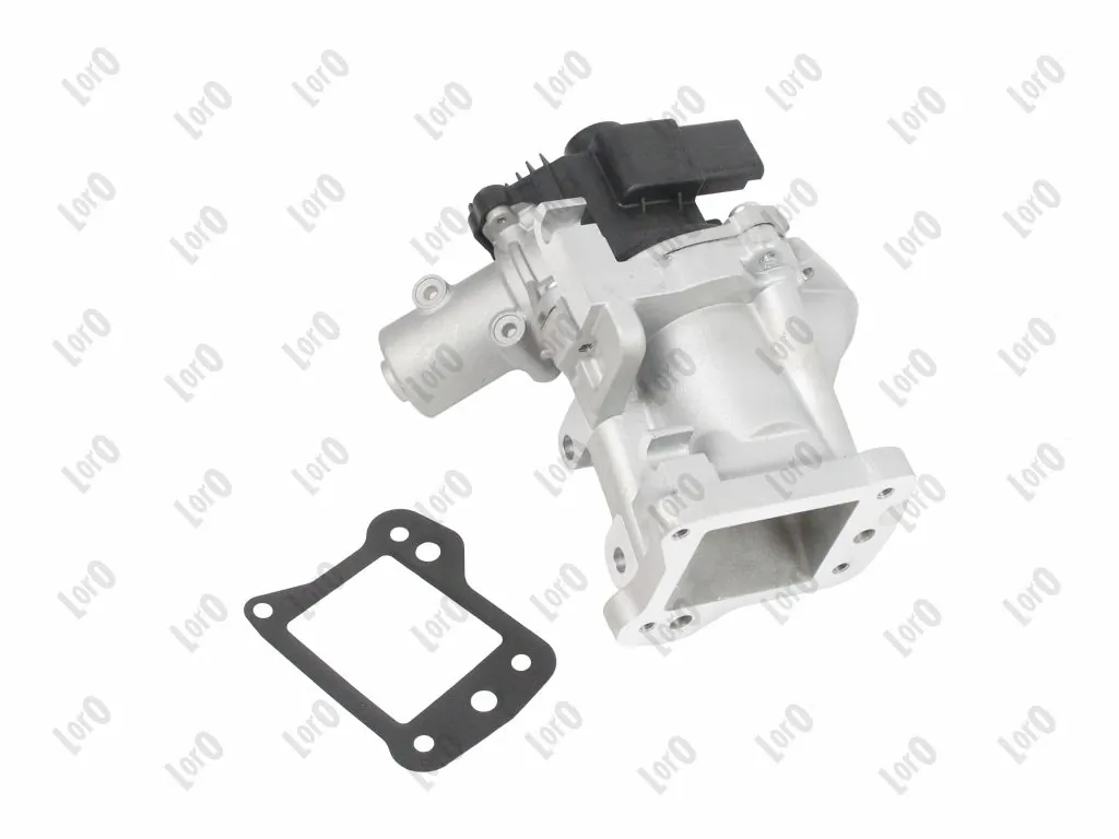 EGR Valve