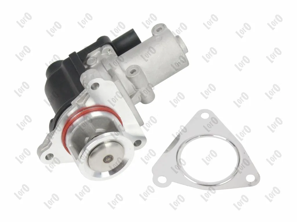 EGR Valve