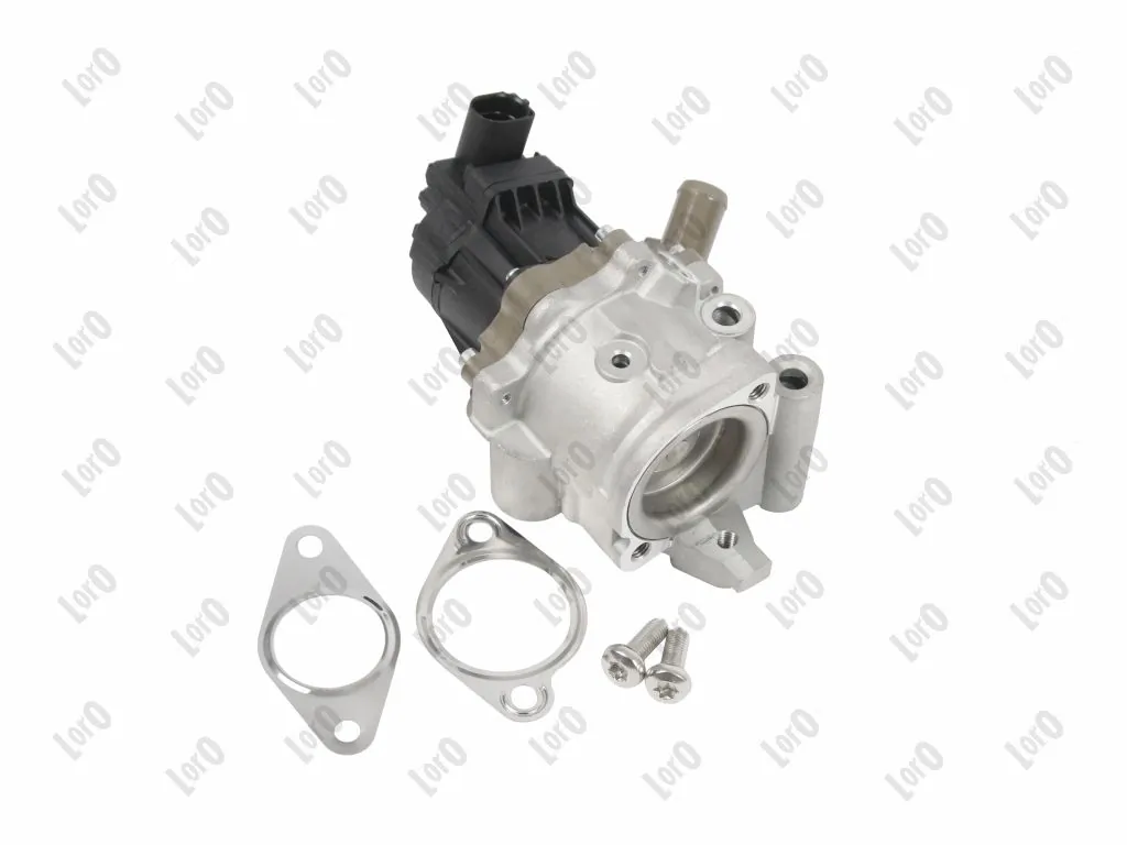EGR Valve
