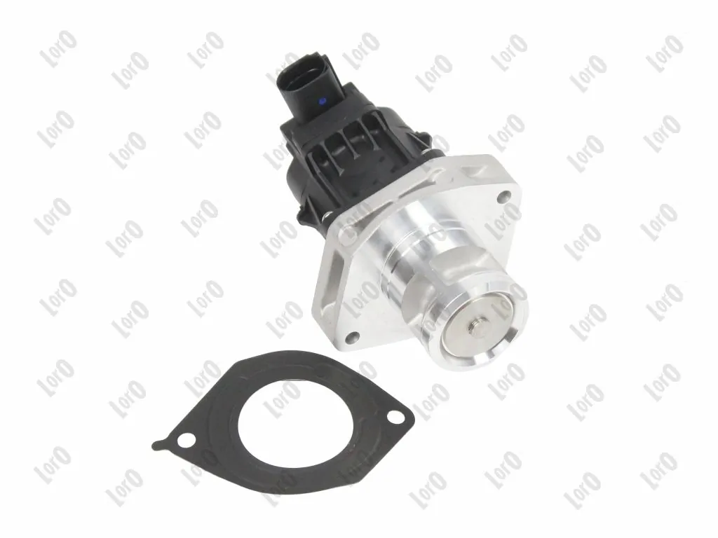 EGR Valve