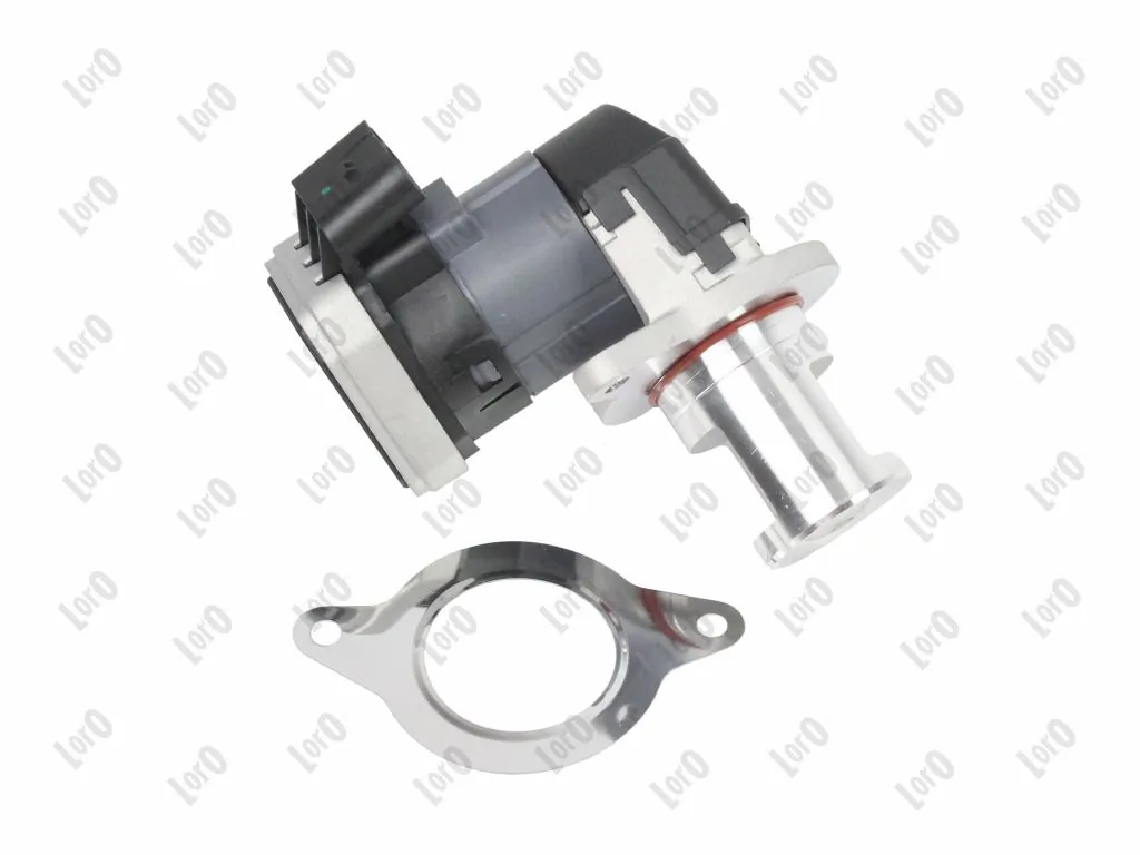 EGR Valve