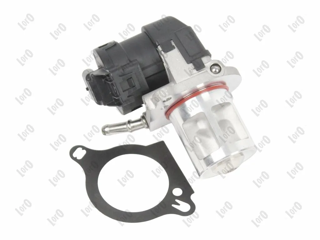 EGR Valve