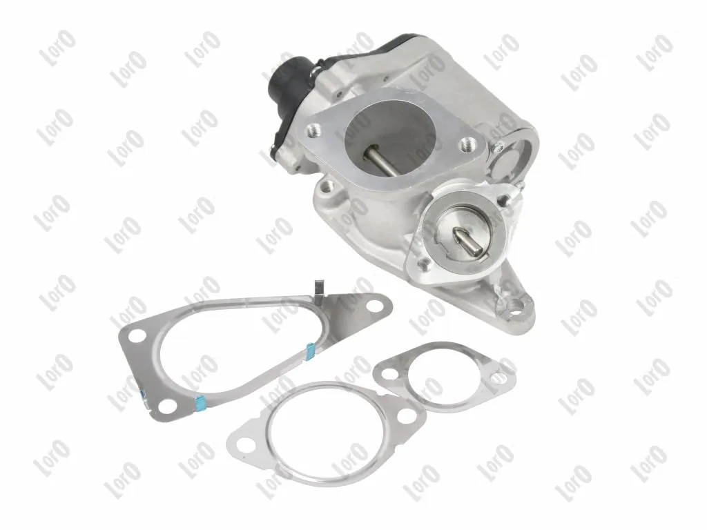 EGR Valve
