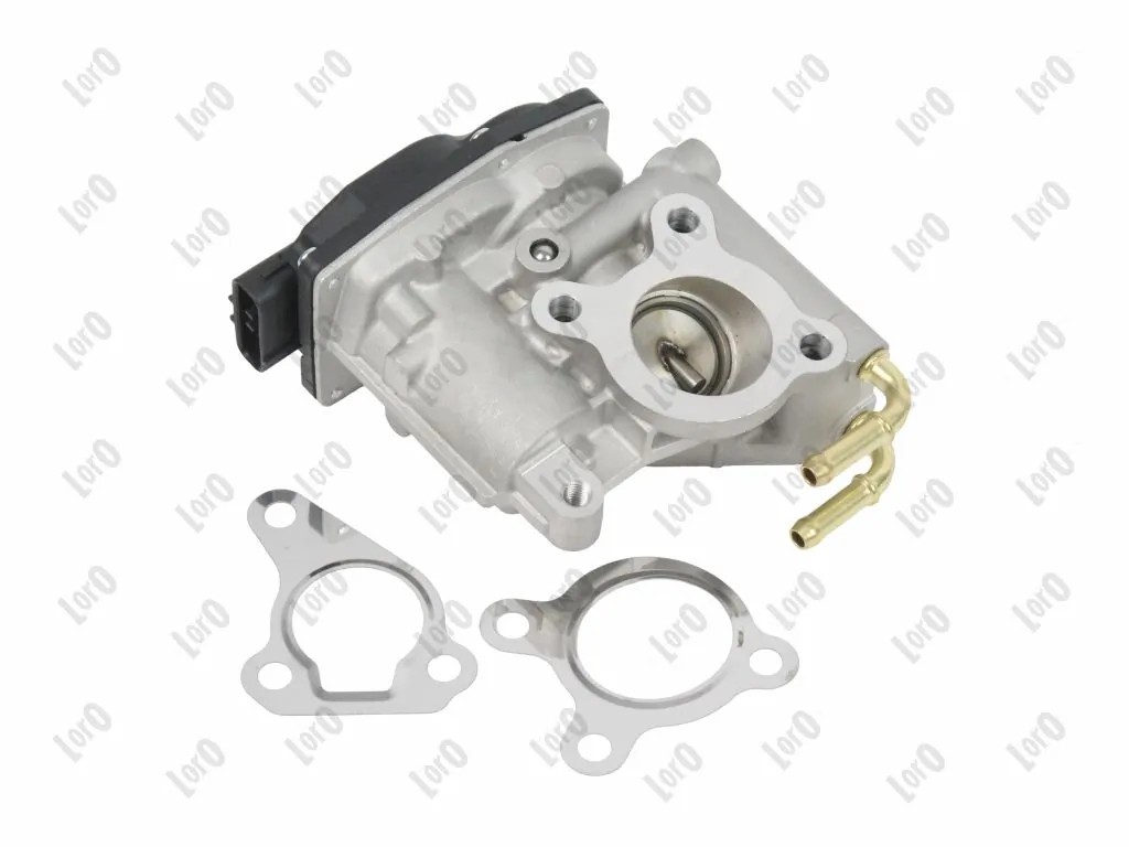 EGR Valve