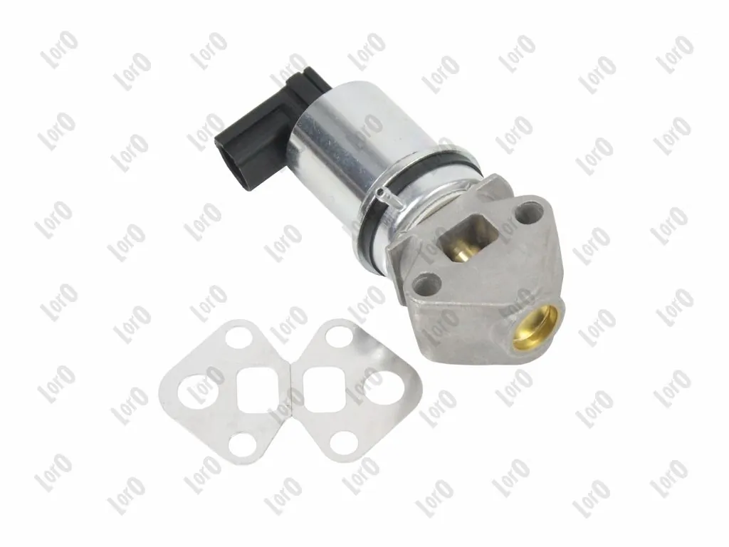 EGR Valve