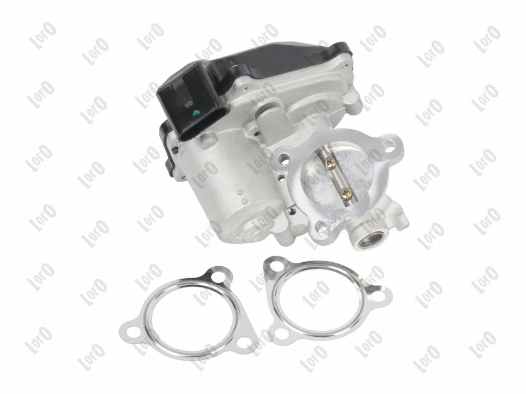 EGR Valve