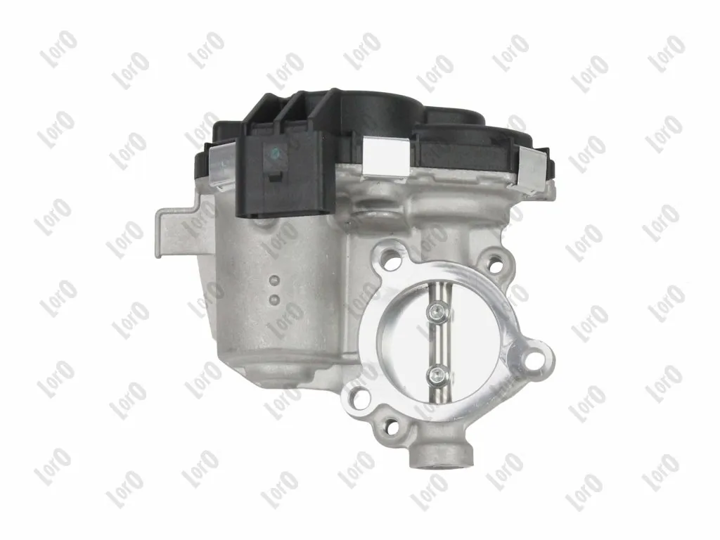 EGR Valve