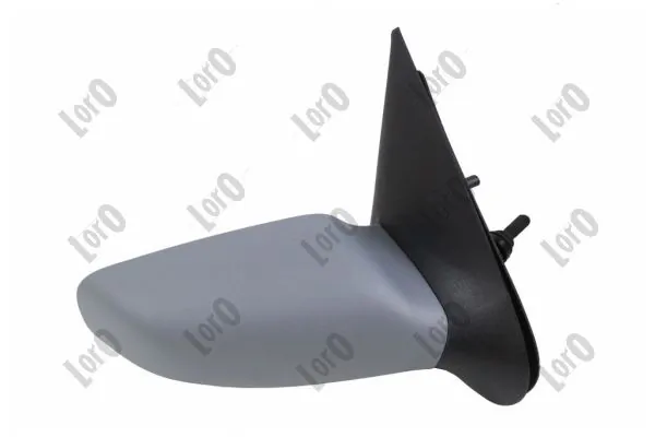 Exterior Mirror