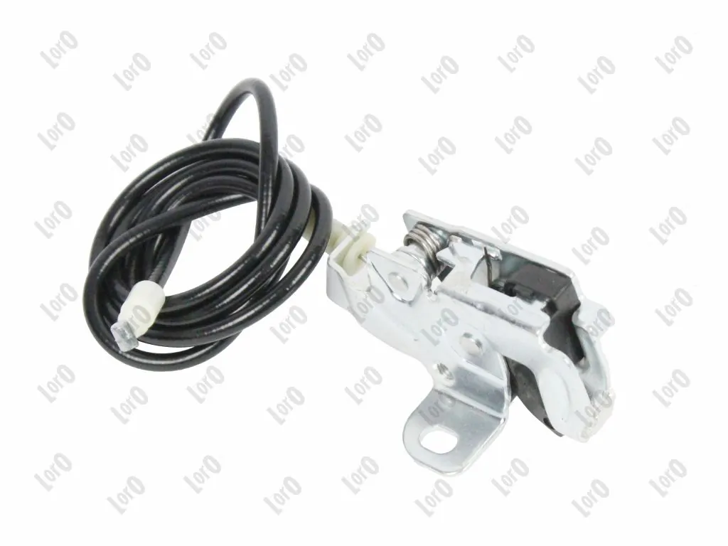 Back Door Lock
