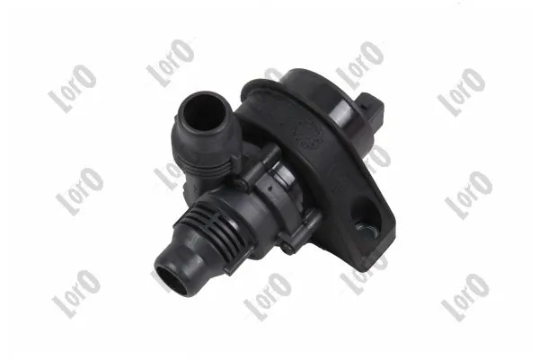Auxiliary Water Pump (cooling water circuit)