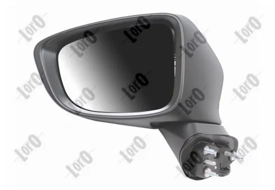 Exterior Mirror