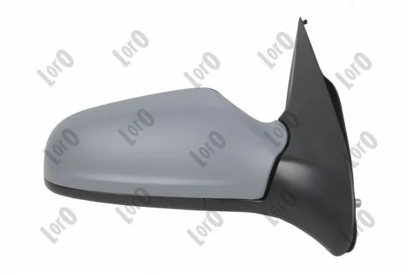 Exterior Mirror