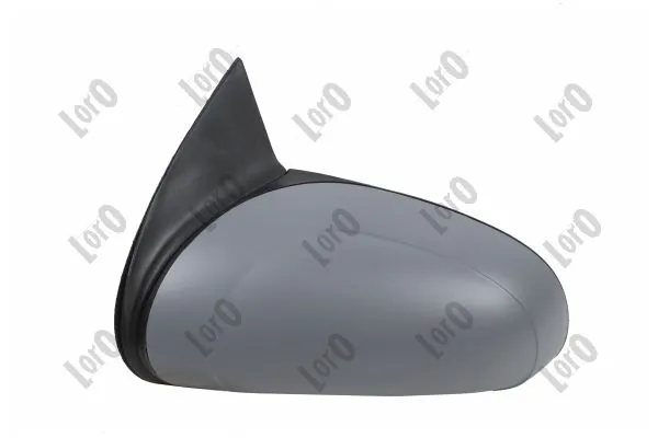 Exterior Mirror