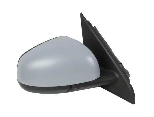 Exterior Mirror