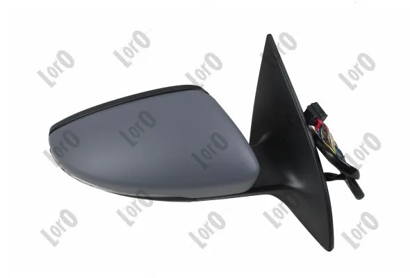 Exterior Mirror