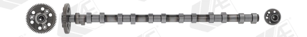 Camshaft