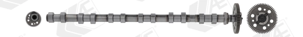 Camshaft