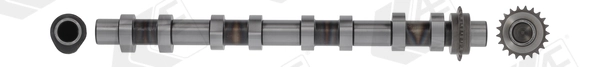 Camshaft