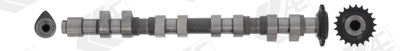 Camshaft