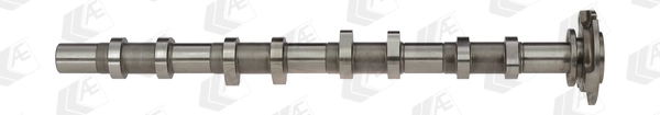 Camshaft