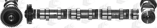 Camshaft