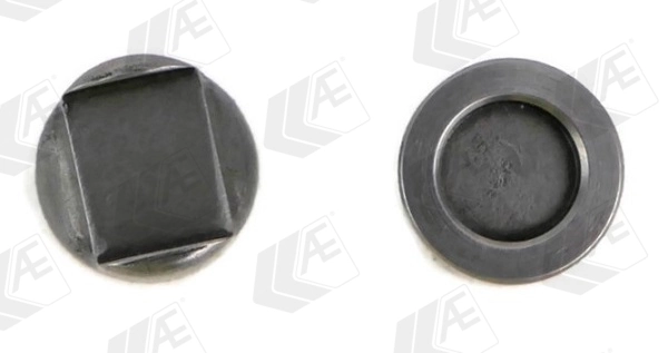 Thrust Piece, intake/exhaust valve