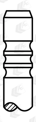 Intake Valve
