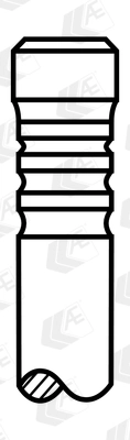 Intake Valve