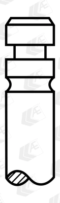 Intake Valve