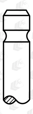 Intake Valve
