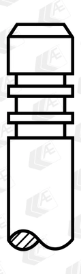 Exhaust Valve