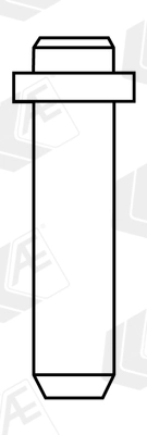 Valve Guide