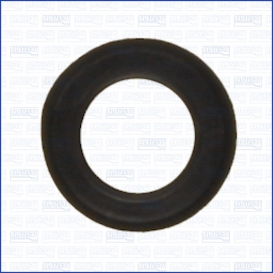 Seal, injector holder