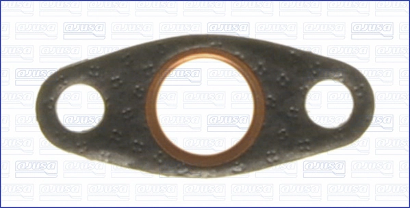 Gasket, vacuum pump