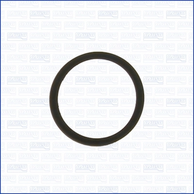 Seal Ring, coolant pipe