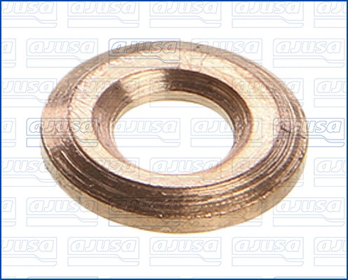 Seal Ring, injector