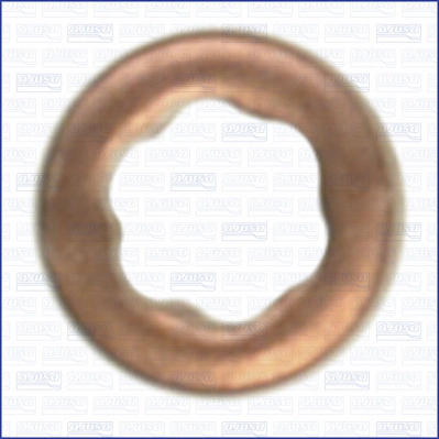 Seal Ring, nozzle holder