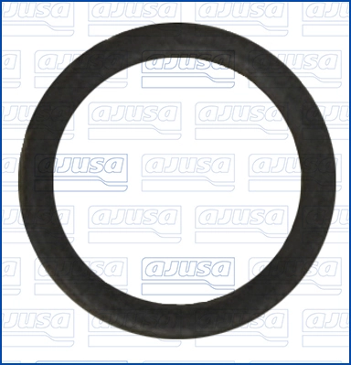 Seal Ring, coolant pipe