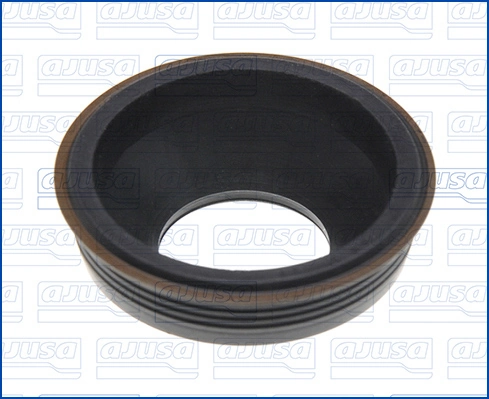 Seal, injector holder