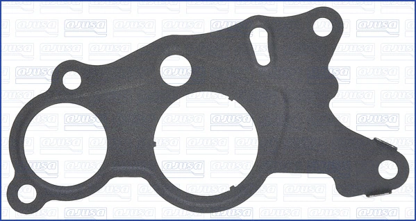 Gasket, vacuum pump
