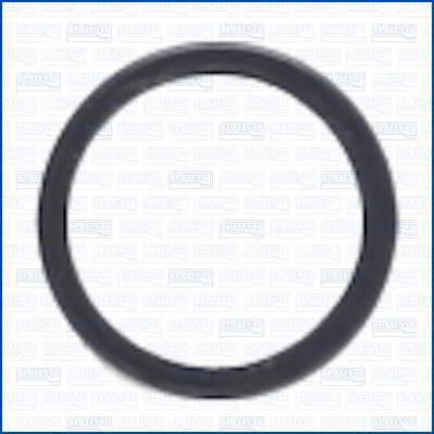 Seal Ring, injector