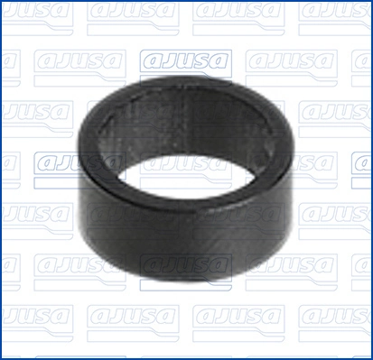 Seal Ring, injector
